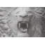 White Marble Lion Bust