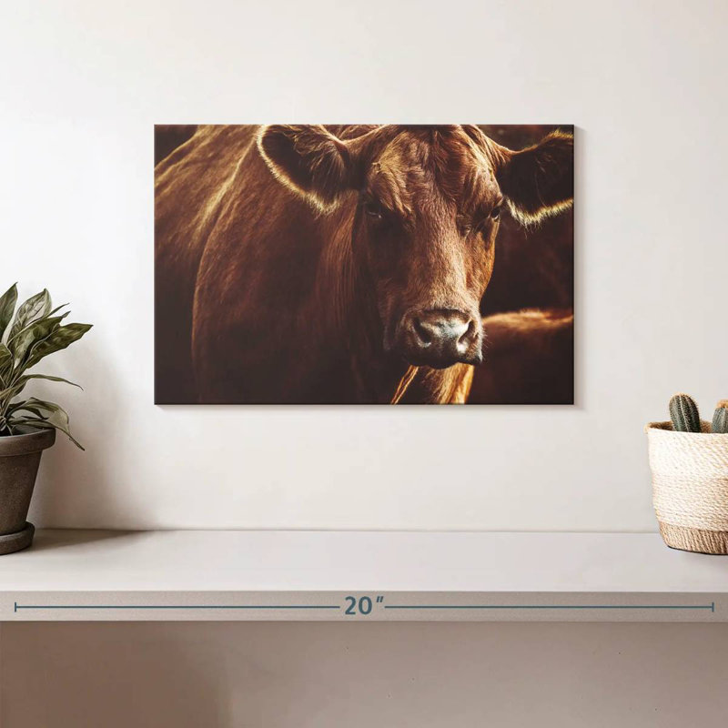 Brampt Expressive Brown Cow, 8" H x 12" W