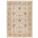 Atherine Oriental Indoor Rug