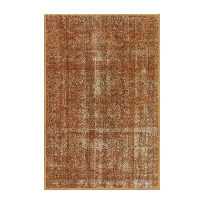 Janik Oriental Indoor Rug, Rectangle 2' x 4'