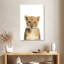 Adorable bébé lion Brampt-108381853