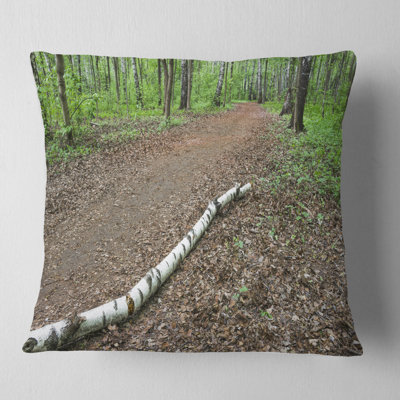 Throw Pillow