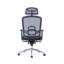 Office Chair with Headrest