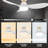 Dyonne 45'' Ceiling Fan with LED Lights-90847211