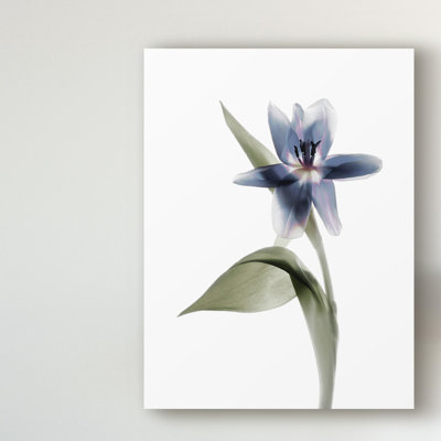 « xray tulip vii », peinture sur toile tendue