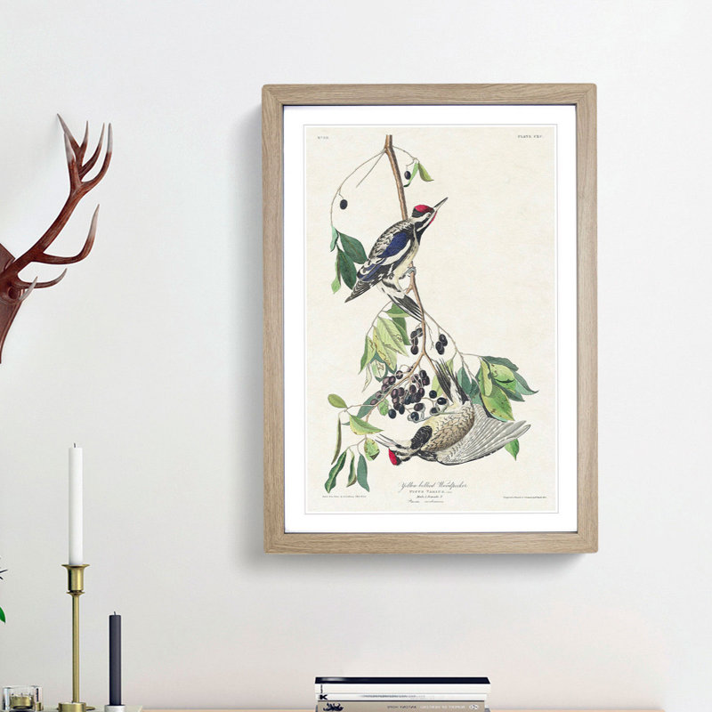 Yellow-Bellied Woodpeckers by John James Audubon - Picture Frame Art Print, 65cm H x 48cm W x 2cm D, Oak Framed
