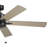 Lucian II 60'' Ceiling Fan