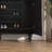 17 Pair Shoe Storage Cabinet