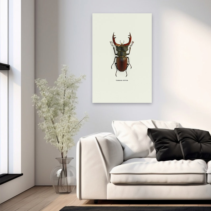 Coléoptère rouge - art animaux et insectes, H 36 po x l 24 po