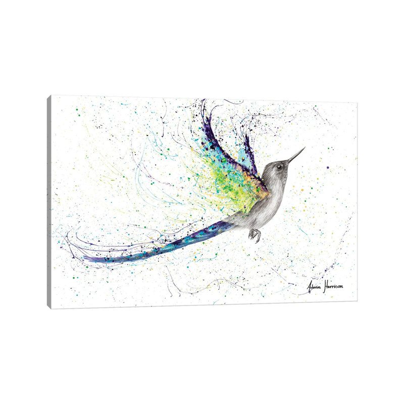 Secret City Hummingbird by Ashvin Harrison - Wrapped Canvas Print, 20.32 cm H x 30.48 cm W