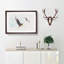 Pair of Flying Seagulls - Framed Print-56851880-56851885