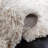 Delane Handwoven Wool Ivory Area Rug-725196674