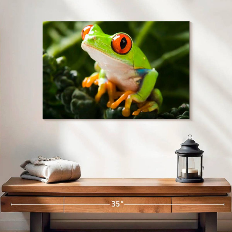 Brampt Tree Frog, 16" H x 24" W