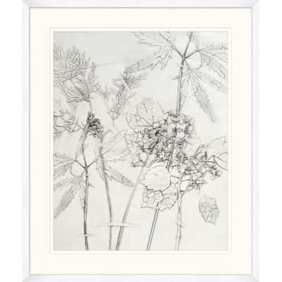 Painted Pressed Floral 4 Print