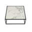 Cicalese Coffee Table