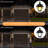 Citlally LED Wall Light