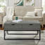 Sled Coffee Table with Storage-1059496220