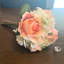Tiges d'hortensia rose-154772722