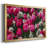 " Looks Like Spring "-1363486991-1363486988