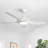 Lakenzie 48'' 5-Blade Modern Ceiling Fan with LED Light and Remote Control-1522235716