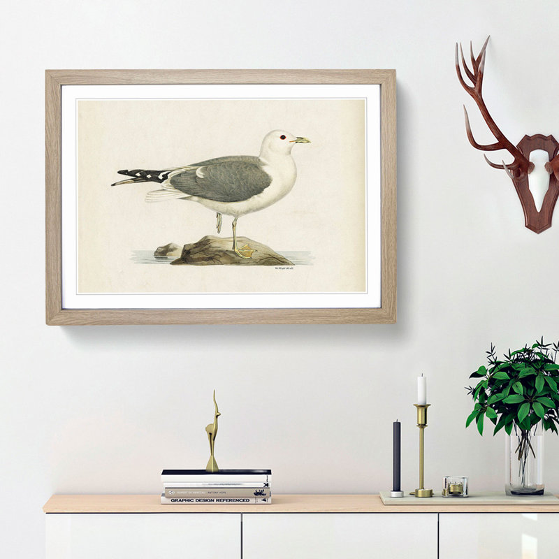 A Common Gull by Von Wright - Single Picture Frame Painting, Oak Framed, 45cm H x 63cm W x 2cm D