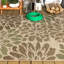 Tapis intérieur / extérieur Hagy-1909425072