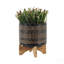 S/2 5/8" GLAZED PLANTER W/ STAND, BLACK