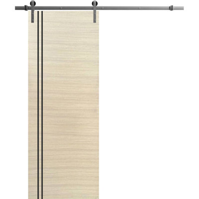 Porte coulissante de style grange avec quincaillerie en acier inoxydable, 2 m (6,6 pi), supports de rail en placage naturel Planum 0016, ensemble argenté robuste, portes intérieures modernes à panneaux pleins - 61 cm x 203 cm (24 po x 80 po) - Rail argenté