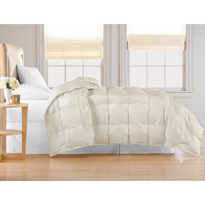 All Season Down Blend Down Comforter