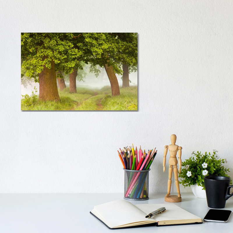 Poland, Greater Poland, Rogalin, Oaks I by Mikolaj Gospodarek - Wrapped Canvas Print, 20.32 cm H x 30.48 cm W