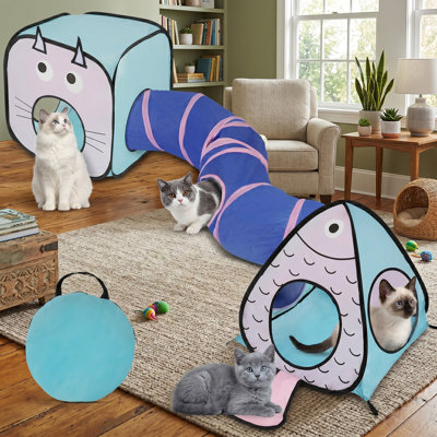 Ensemble de jeu de tunnel et de cubes pour chat, tube pliable pliable et cubes pliables, pour chatons, lapins, chiots, furets
