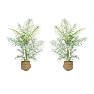 Cairns 5.5' Outdoor UV Rated Kentia Palm Drop-In Trees with Bamboo-Wrapped Cement Pots