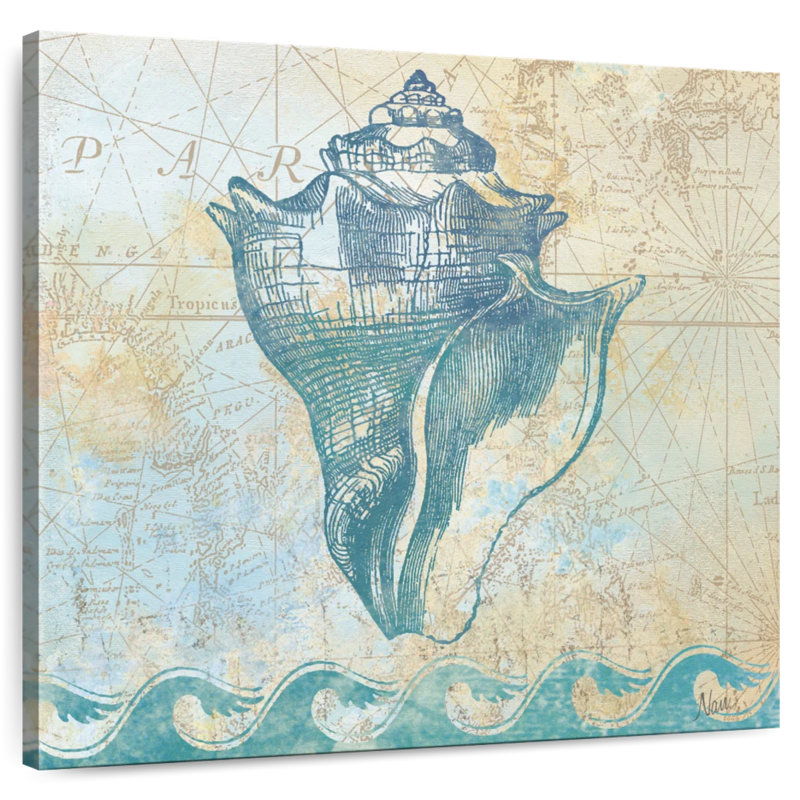 Aletra Conch Treasure, 30'' H x 30'' W