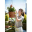 Balcony Planter-72816949