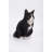 Orange Tabby Cat Sitting-1241430312