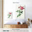 Provence Rose Rosa Indica de Les Roses-108360835