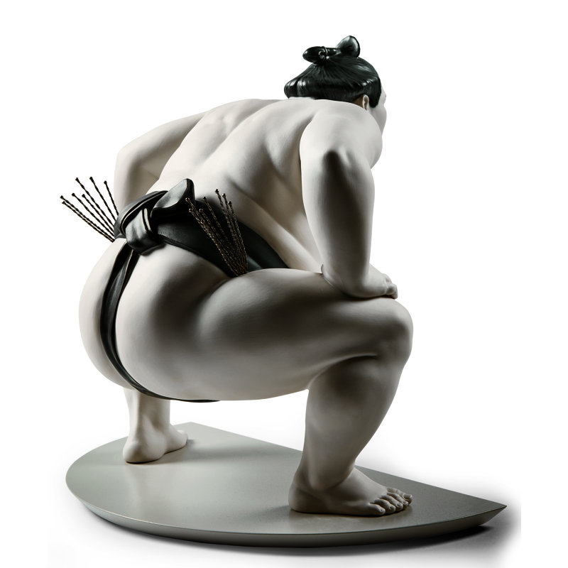 Sumo Fighter