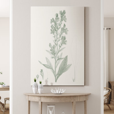 «Botanical Study in Sage III», reproduction d'art sur toile tendue