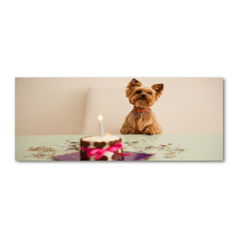 Dog with Cake 1 Piece Wall Art on Canvas