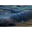 Prismatic Abstract Indoor Rug-17988637