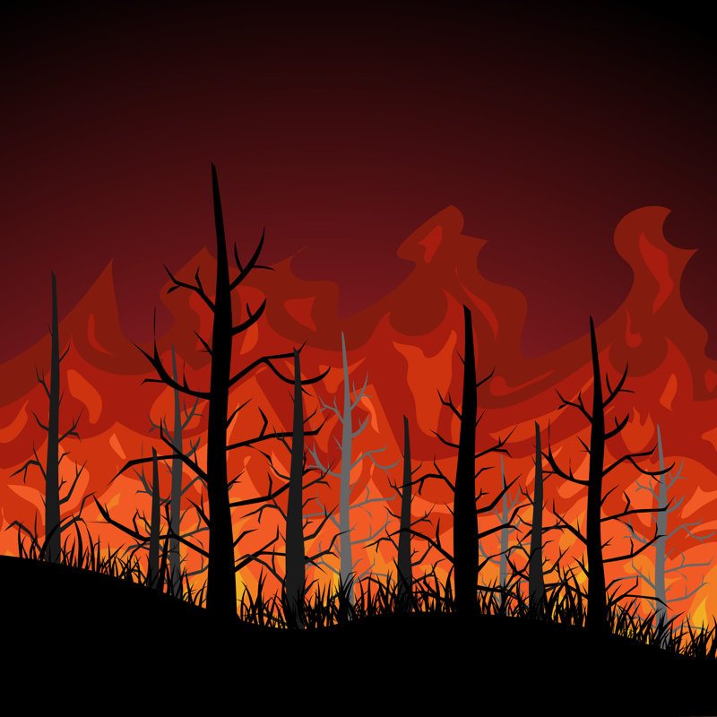 «Fire in the Forest» par Ekaterina Okuneva - impression sur toile tendue, L 12 po x H 12 po