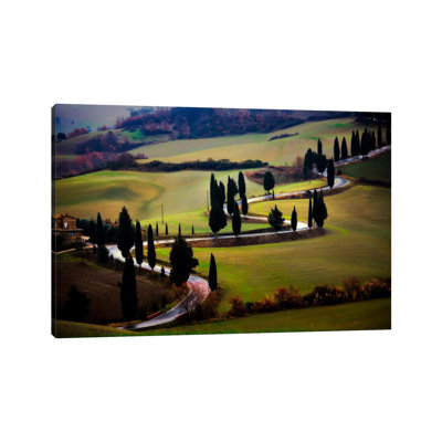 Tuscan Serpent, Tuscany, Italy by Jim Nilsen - Wrapped Canvas Print