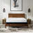 Copper Infused 14 Inch Plush Memory Foam Mattress-1835565803-1817936235