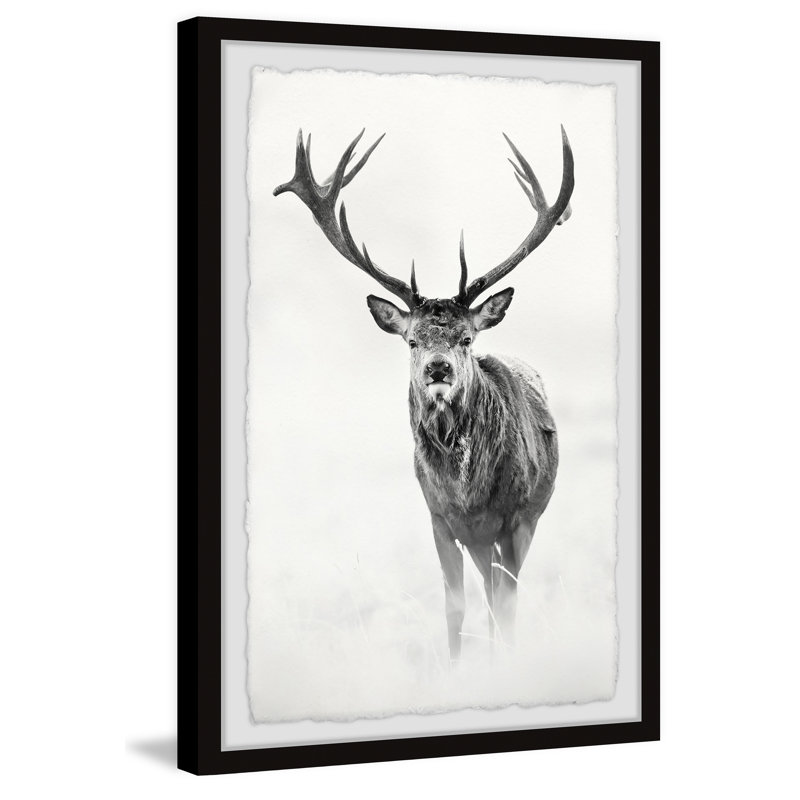 Single Picture Frame Print, 30cm H x 20cm W