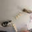 Cat Wall Shelves Set