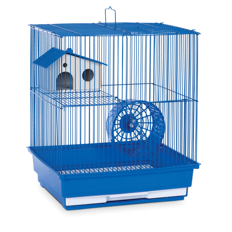 Cage à souris avec rampe Kalish, Bleu