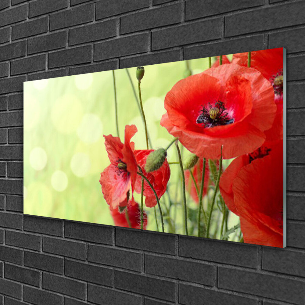 Glasbild Poppies