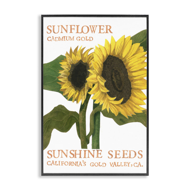 Dessin de tournesol encadré blanc par Nancy Overton, Giclée encadrée noir minuit, H 18 po x l 12 po