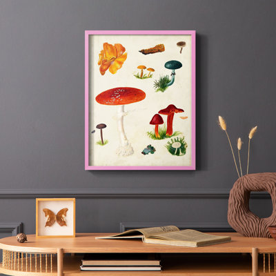 Reproduction encadrée champignon Mushroom Species
