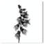 Ossified Petals II Print by Oliver Gal-2034241596-2034241598